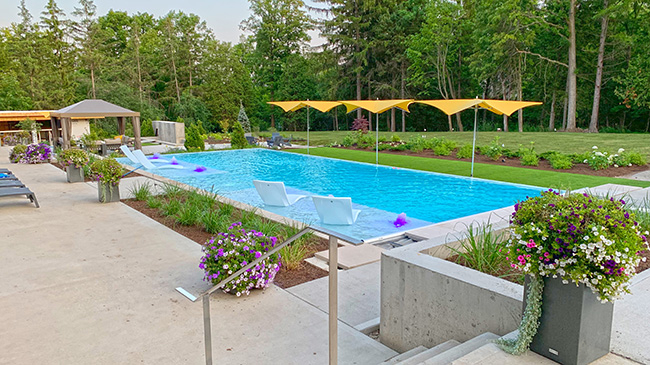 Backyard pool at a private residence in Kitchener, Ontario